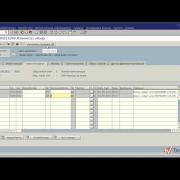 Исходящая поставка в SAP ERP часть 2 (21/23)