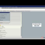 Персональная настройка экрана SAP ERP часть 2 (7/23)