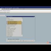 Основные справочники данных в SAP ERP часть 1 (11/23)