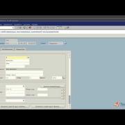Персональная настройка экрана SAP ERP часть 3 (8/23)