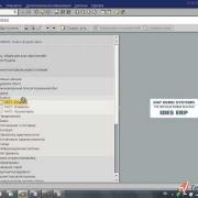 Стандартное меню SAP ERP (5/23)