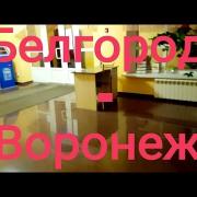 #25 Белгород - Воронеж. 10 марта