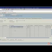 Исходящая поставка в SAP ERP часть 1 (20/23)